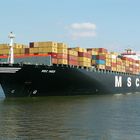 Msc Ines