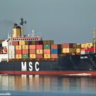 MSC Iris