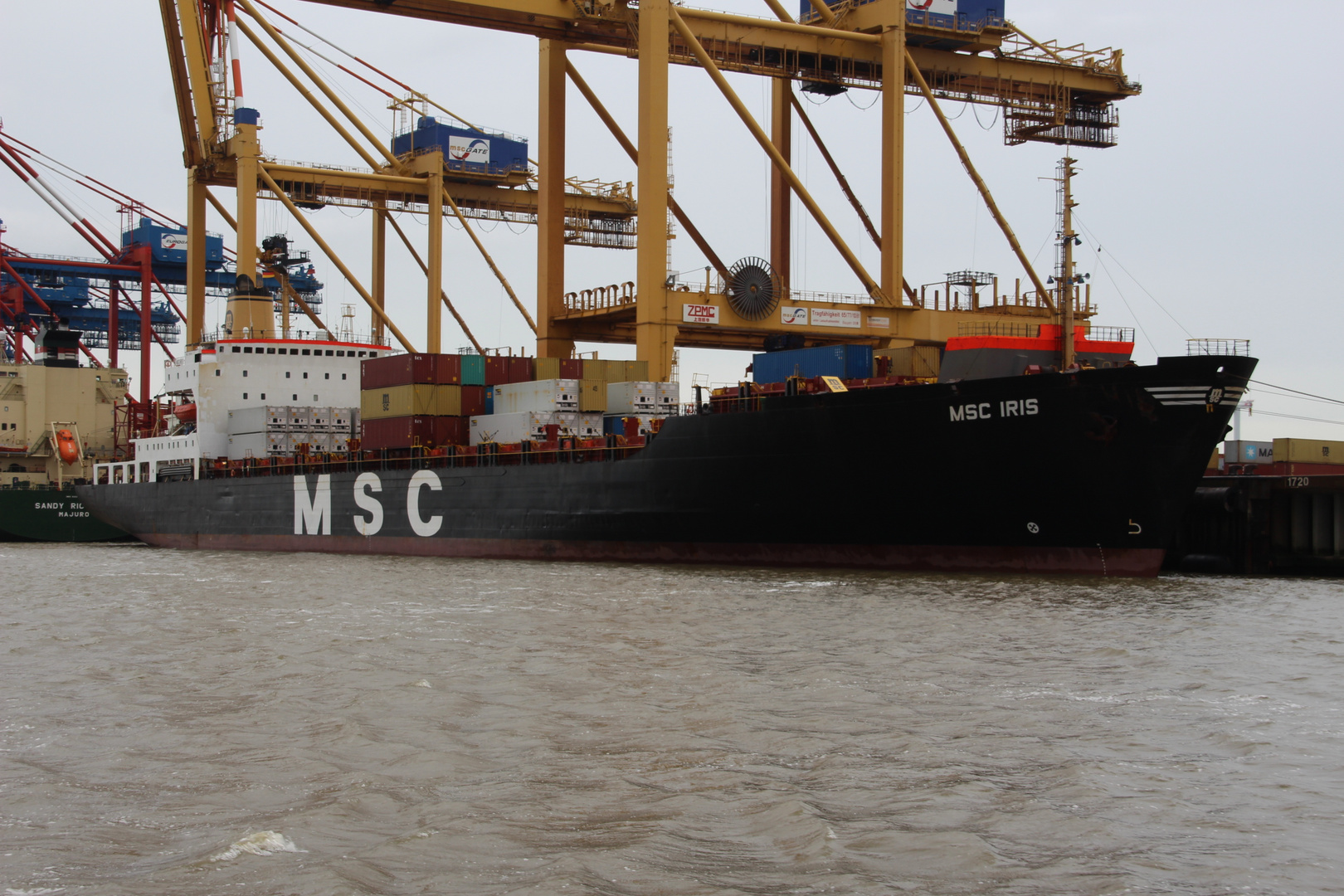 MSC IRIS