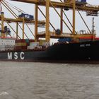 MSC IRIS