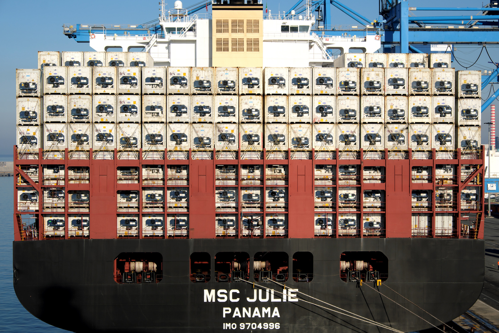 MSC Julie