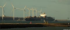 MSC KRYSTAL / Container Ship / Rotterdam