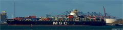 MSC KYSTAL / Container Vessel / Rotterdam / Bitte scrollen!