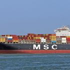 MSC LAURA