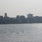 MSC LAURENCE