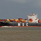 MSC Lisa