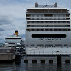 MSC Magnifica