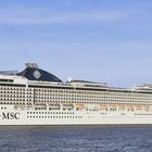 "MSC MAGNIFICA" (2)