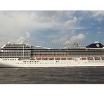 MSC MAGNIFICA