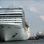 "MSC MAGNIFICA"...