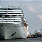 "MSC MAGNIFICA"...