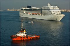 MSC Magnifica