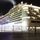 MSC MAGNIFICA am Cruise Terminal Hamburg-Altona