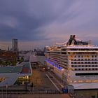 MSC MAGNIFICA 