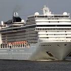 Msc Magnifica