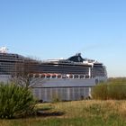 MSC Magnifica vor Blankenese