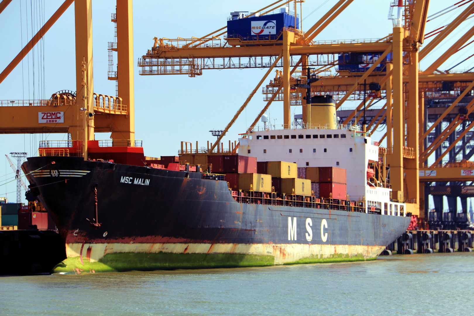 MSC Malin