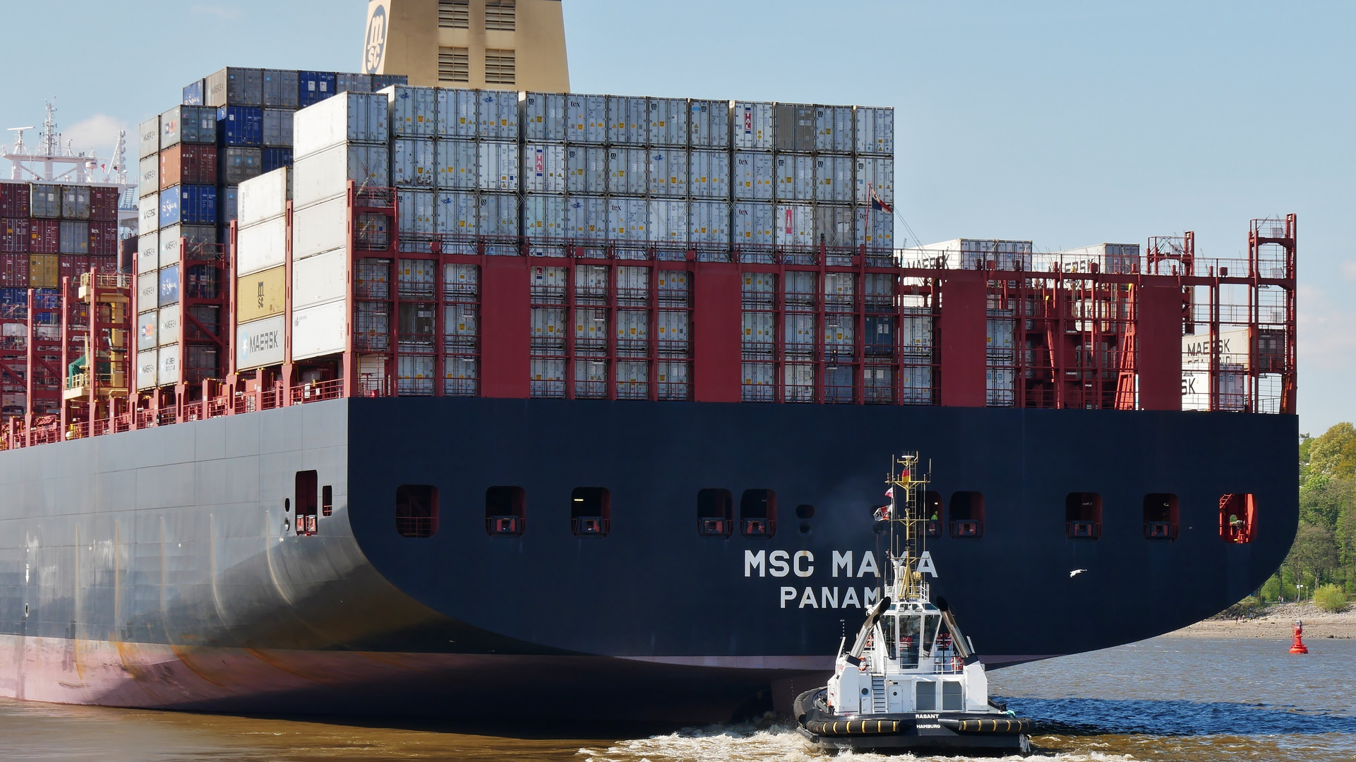 MSC MAYA