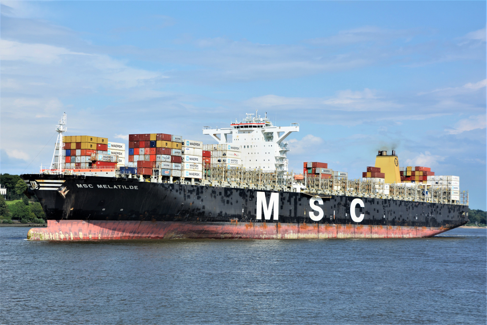 MSC  MELATILDE