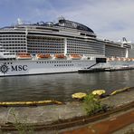 MSC Meraviglia [ Pano ]