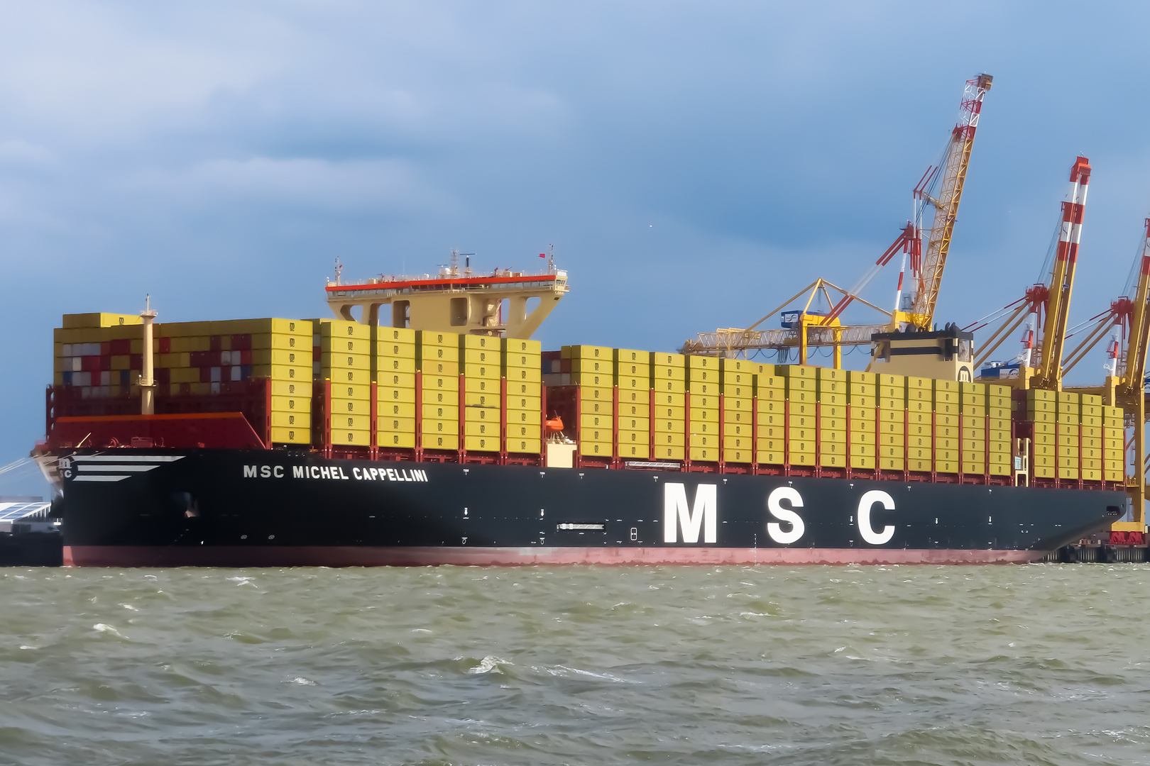 MSC Michel Cappellini