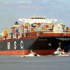 MSC New York