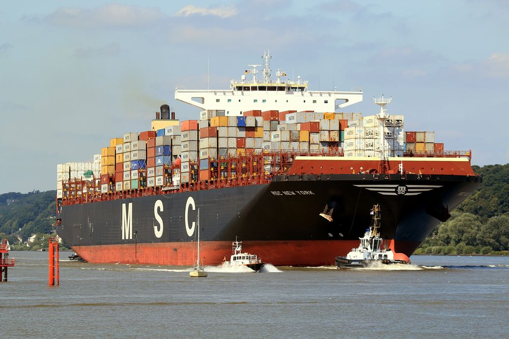 MSC New York