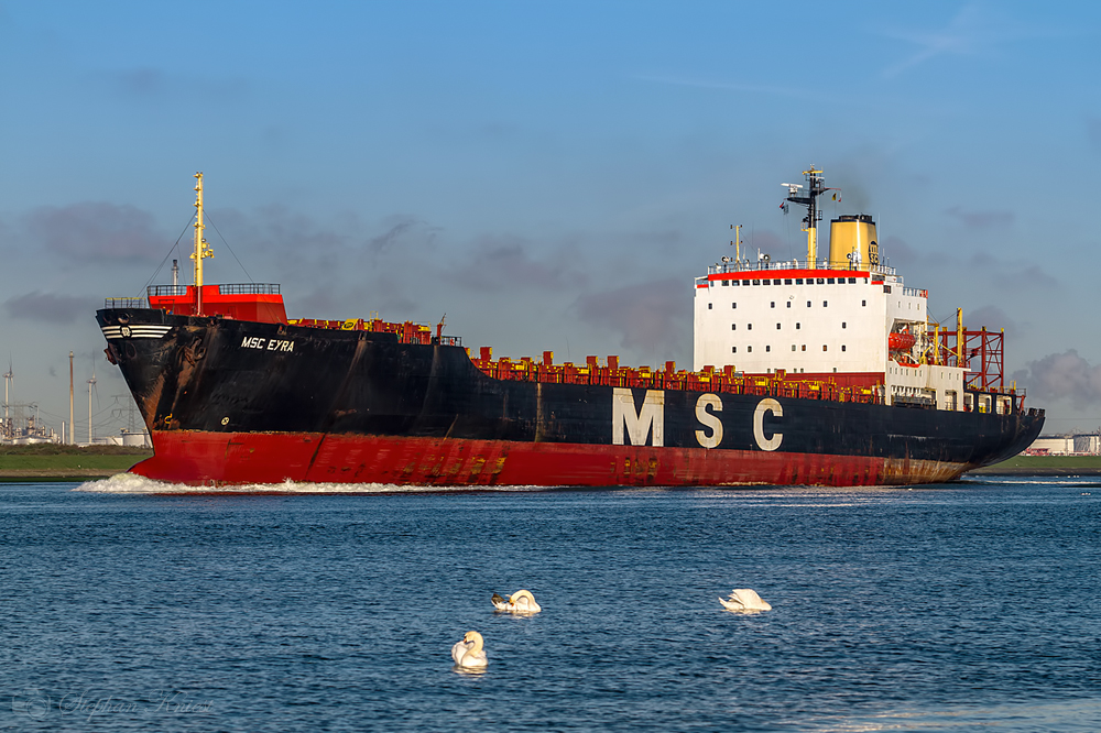 MSC Oldie