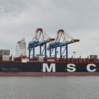 MSC Oliver in Bremerhaven Foto 2