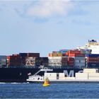 MSC ORIANE / Container ship / Rotterdam