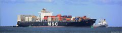 MSC ORIANE / Container ship / Rotterdam