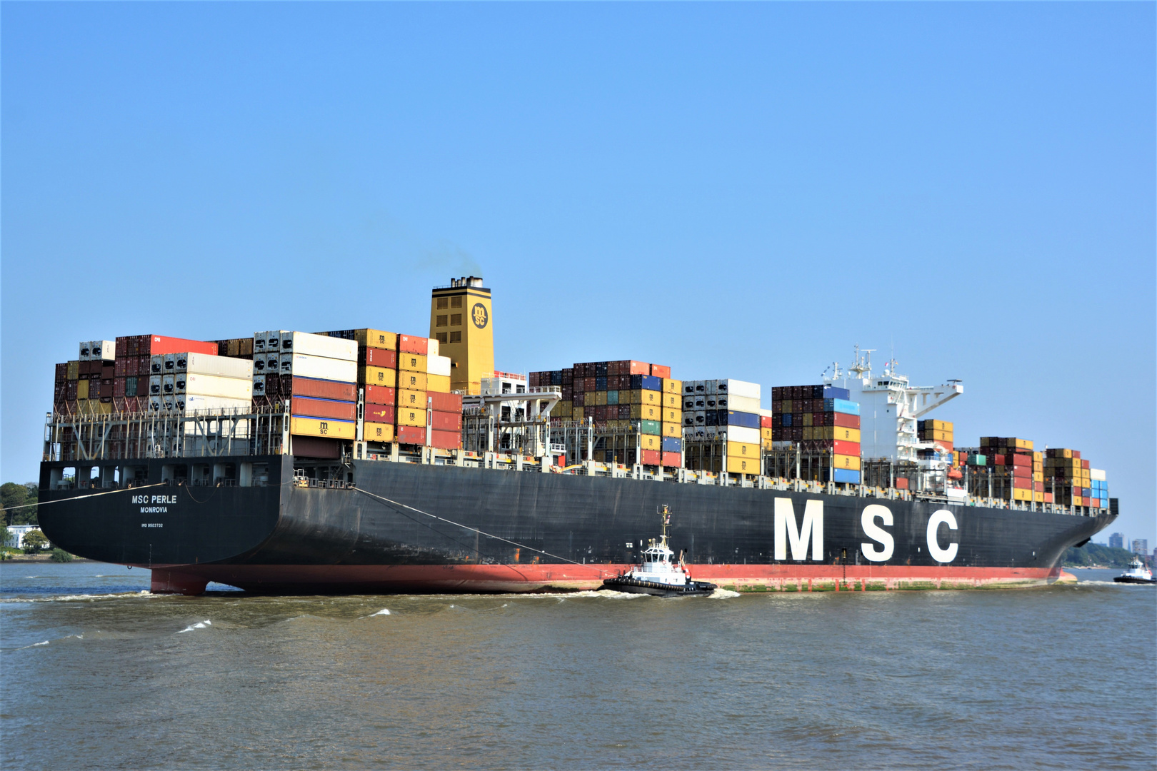 MSC PERLE