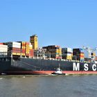 MSC PERLE