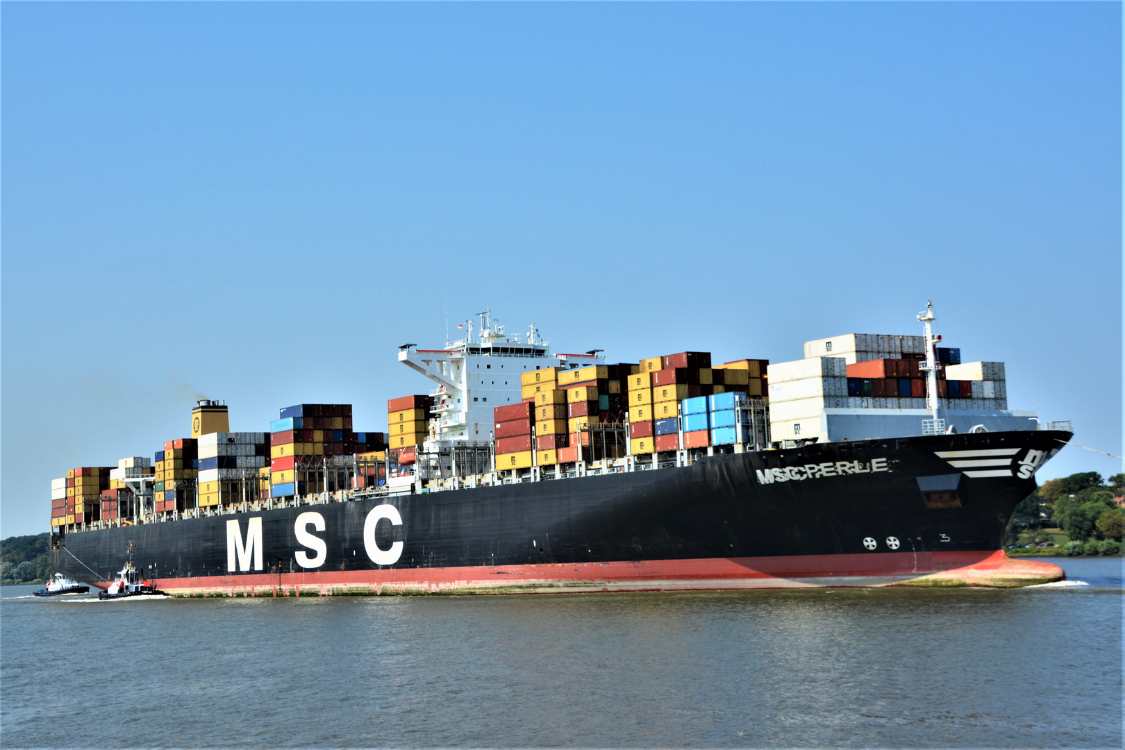 MSC PERLE