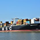 MSC PERLE