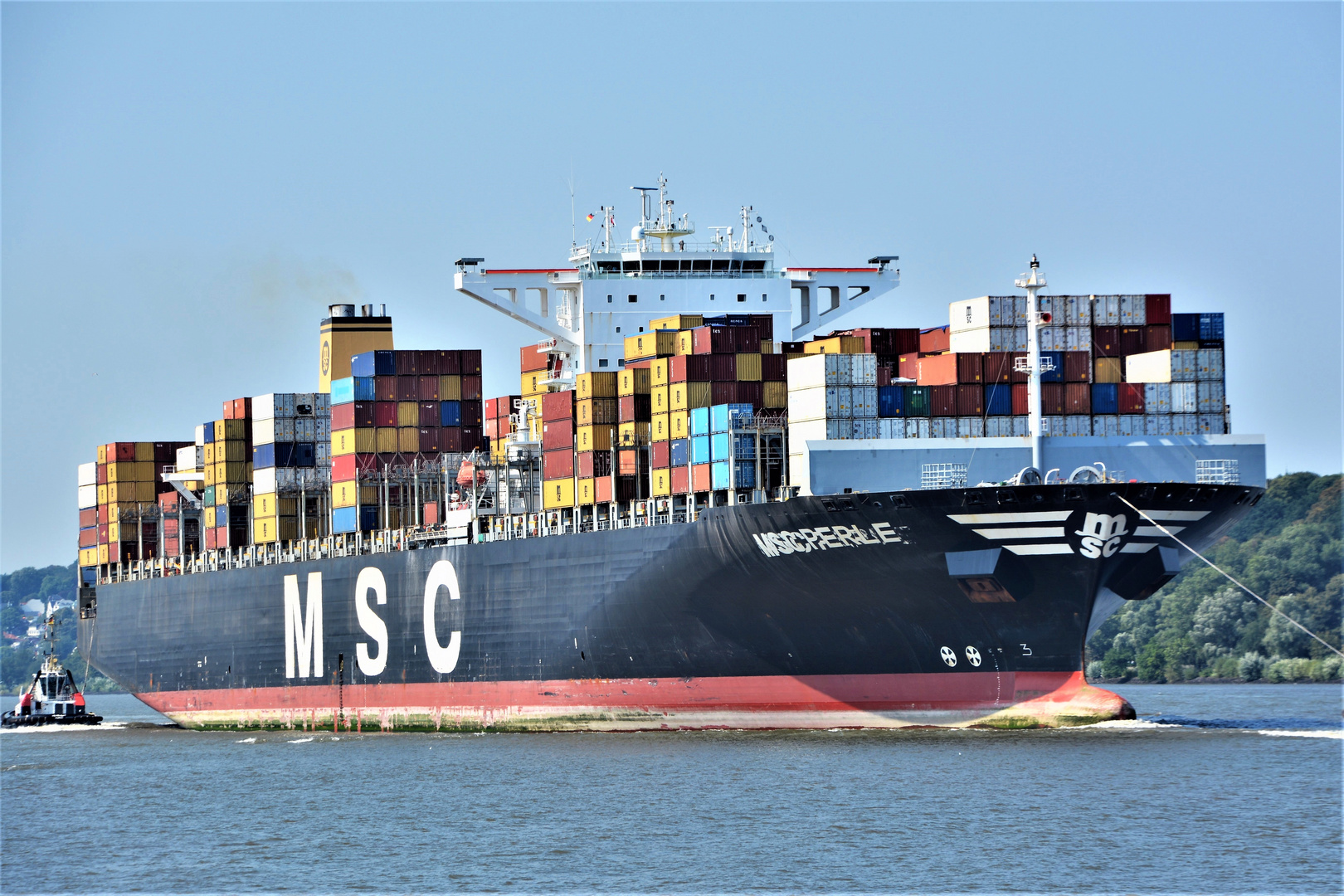 MSC PERLE