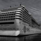 MSC Poesia