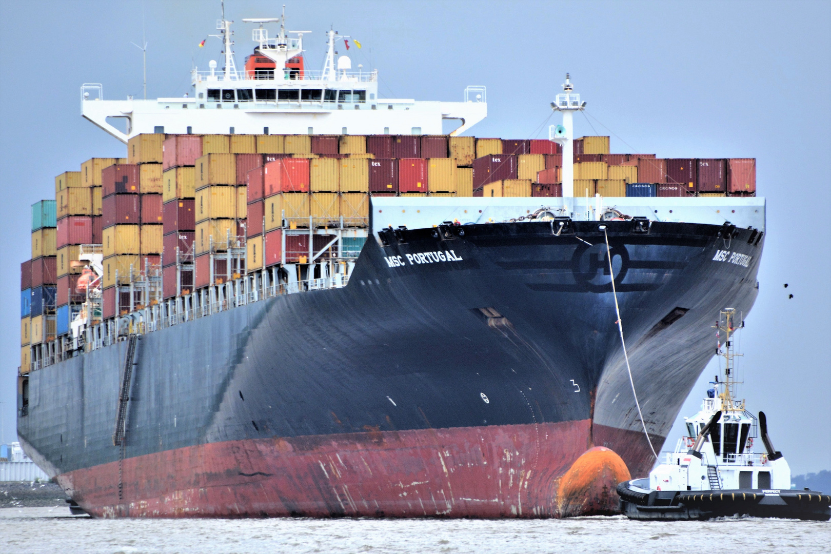 MSC PORTUGAL  ,  ex. HANJIN CHONGQUING 