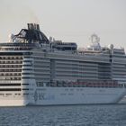 MSC PREZIOSA