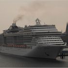 MSC Preziosa