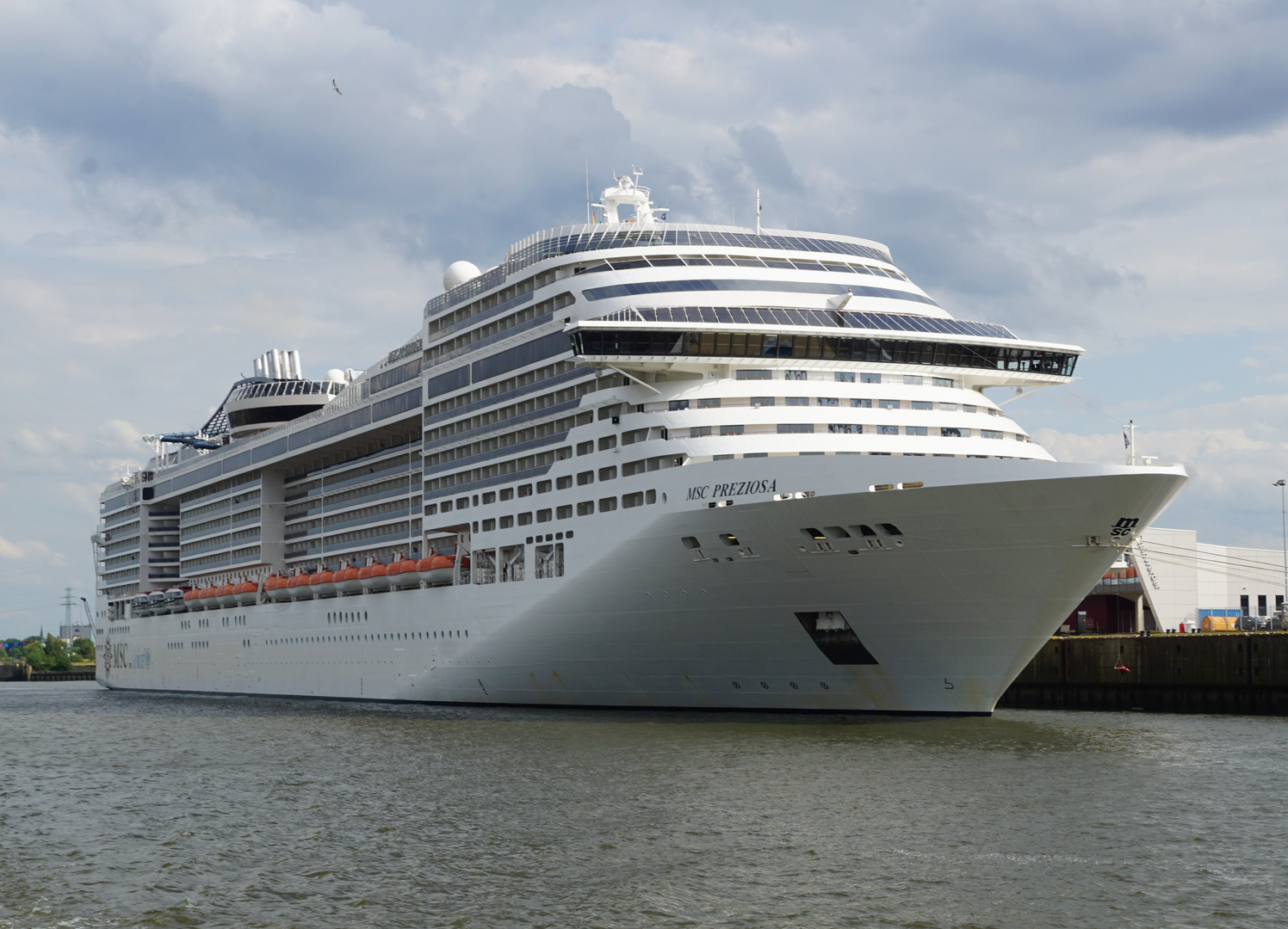 MSC Preziosa in Hamburg