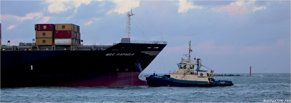 MSC RAFAELA (2) / Container Vessel / Rotterdam