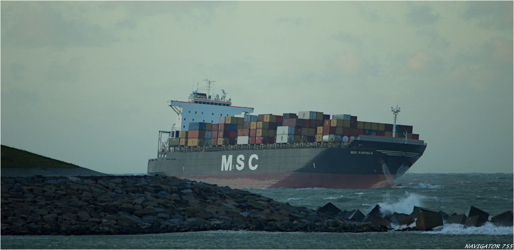 MSC RAFAELA / Container Vessel / Rotterdam