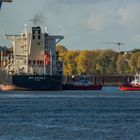 MSC Rafaela mit " Einparkhilfe "