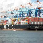 MSC Rapallo