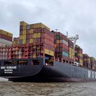 MSC Romane  Containerschiff auf der Elbe