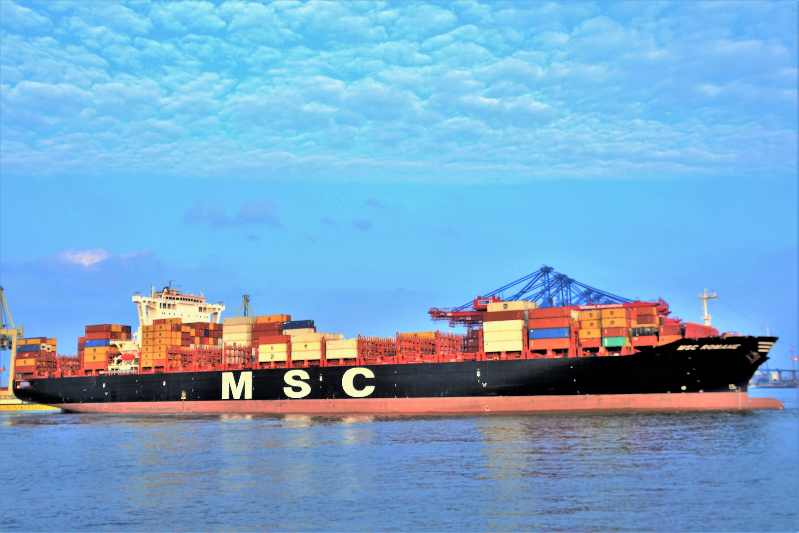 MSC ROMANE