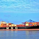 MSC ROMANE