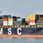 MSC Romanos