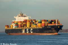 MSC Romanos